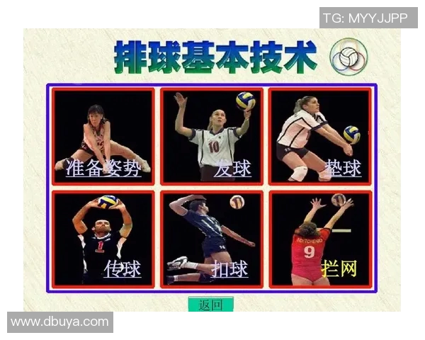 深圳排球队的速度之美与战术解析探秘排球运动的魅力与激情